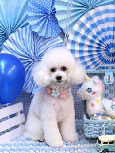 20231124ゆわちゃん